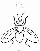 Mosca Alas Abiertas Insectos Twistynoodle sketch template