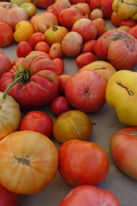 moments  delightanne reeves heirloom tomatoes