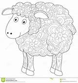 Sheep Coloring sketch template