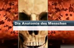 anatomie tag dokus direkt als stream anschauen dokusme dein