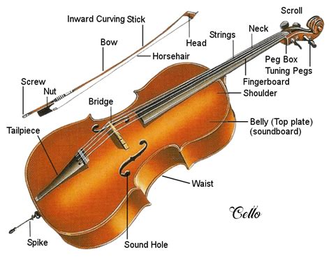 cello musicalhelporg