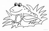 Toad Coloring Pages Printable Kids Cool2bkids sketch template