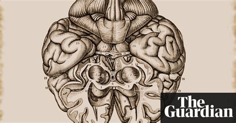 the psychology of a workplace bully guardian careers the guardian