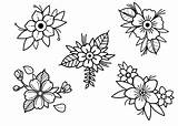 Tattoos Flower Grabs Neo Ll Blackwork Tradicional Rachael Hipkin Niches Larhonda Comparess Backyards Implantbirthcontrol sketch template