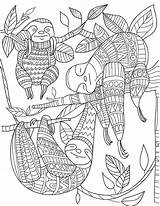 Coloring Sloth Faultier Zentangle Faultiere Paresseux Erwachsene Mandalas Zentangles Malvorlagen Luiaard Ausdrucken Insect Kleurplaten Tierbilder Malbuch Mandela Perezoso Abstracte Luiaards sketch template