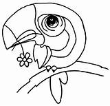 Coloring Beak Bird Tucan Flower Toucan Pages Color Supercoloring Getdrawings Drawing 1029 23kb 992px sketch template