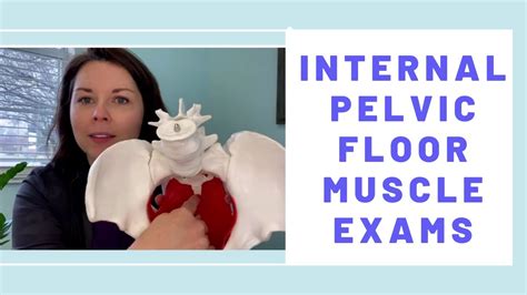 What To Expect During The Internal Pelvic Floor Exam In Pelvic Physical
