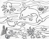 Coloring Ocean Animals Pages Print sketch template