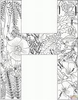 Colouring Supercoloring Itl Zentangle sketch template