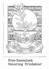 Coloring Pages Serenity Adult Book Prayer Succulent Patterns Template Food Choose Board Backyard Global Industries sketch template