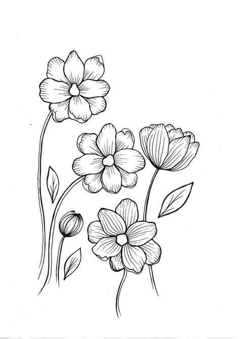 printable wildflower coloring pages printable templates