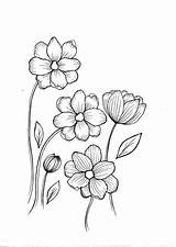 Pdf Wildflower sketch template