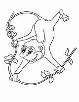 Affe Monkey Affen Monyet Swinging Mewarna Momjunction Monkeys Kertas Kostenlosen Halaman Malvorlagen Kanak Haiwan Tiere Kostenlose Lieblingsfarbe Kleiner Fensterbilder Getdrawings sketch template