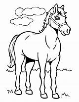 Coloring Cartoon Pages Horses Color Print Kids sketch template