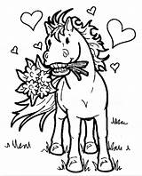 Pferde Pferd Blumenstrauß Aktualisiert sketch template