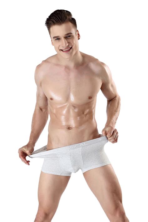 Shorts Mens 4pcs Lot Underwear Soft Boxers Cotton Boxer