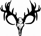 Deer Skull Buck Clipart Silhouette Clip Drawings Skulls Head Outline Logo Mounts Whitetail Cliparts Tribal Drawing Line Elk Decal Antlers sketch template