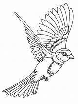 Ptica Ptice Bojanke Nazad Decu sketch template