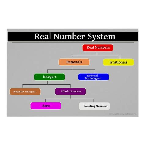 real number system math poster zazzle number system math math