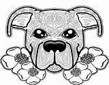 Coloring Dog Pages Mandala Adults Pitbull Adult Puppy Colouring Printable Color Sugar Skull Sheets Pit Books Bull Para Coloriage Cute sketch template