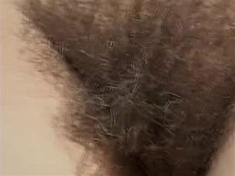 hairy and horny porn video at xxx dessert tube