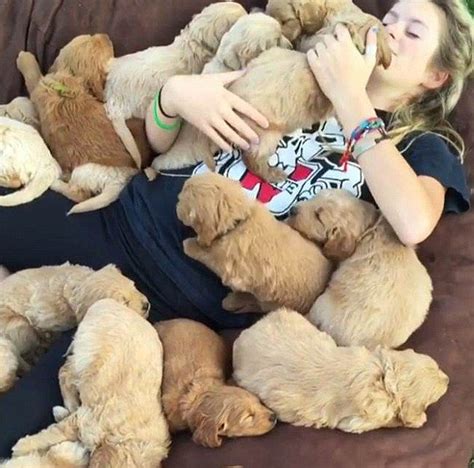 Girls Covered In A Pile Of Puppies As She Snoozes Away The Afternoon