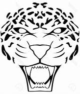 Face Jaguar Leopard Drawing Outline Clipart Vector Clip Drawings Paintingvalley Colourbox Supplier sketch template