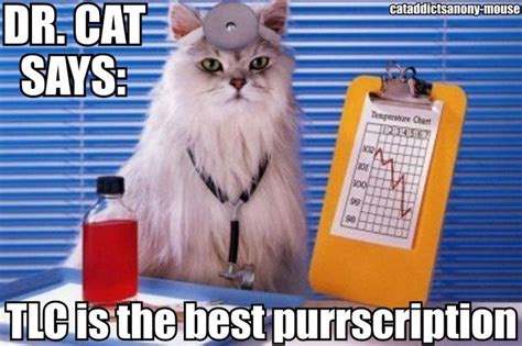 206 Best Healthcare Humor Images On Pinterest Nurse