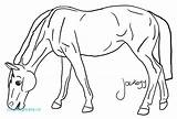 Horse Coloring Pages Breyer Horses Kids Pinto Color Printable Drawing Getcolorings Getdrawings Wallpapers Gif Library Clipart Popular Line sketch template