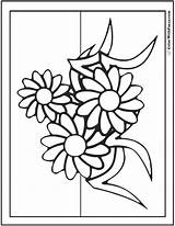 Coloring Daisies Daisy Pages Color Three Cute Colorwithfuzzy sketch template