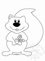 Acorn Squirrel Coloringpage Gland Enregistrée sketch template