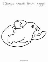 Coloring Chicks Hatch Eggs Favorites Login Add sketch template