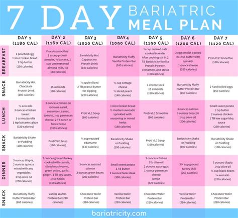 bariatric meal planning guide  day sample meal plan