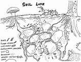 Soil Drawing Little Chemistry Basics sketch template