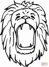Lion Coloring Pages Drawing Roar Lions Head Clipart Roaring Drawings Kids Roars Clipartpanda Clipartbest Printable Gif Use Animal Presentations Websites sketch template