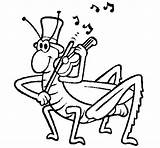 Cigarras Grilo Grillo Violino Cavalletta Violin Cantando Grasshopper Insectos Cantor Grillito Grillos Educacion Instrumentos Musicales Acolore Trompeta Saltamontes Guitarra Colorato sketch template