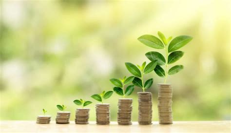 oloklhrwsh webinar sustainable green financing omospondia