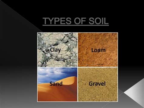types  soil