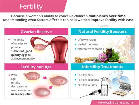 pin on complete fertility guide