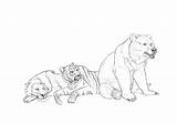 Tiger Bear Lion Deviantart sketch template
