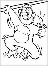 Monkeys Affen Affe Ausmalbild Ausmalen Dicker Kostenlosen Zeichnen Mit Justcolor Dein Schimpansen Gorilla sketch template