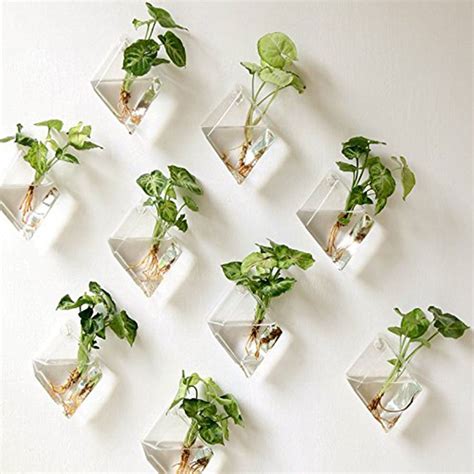 2wall Hanging Green Plant Wall Hanging Planter Box Pot Clear Glass