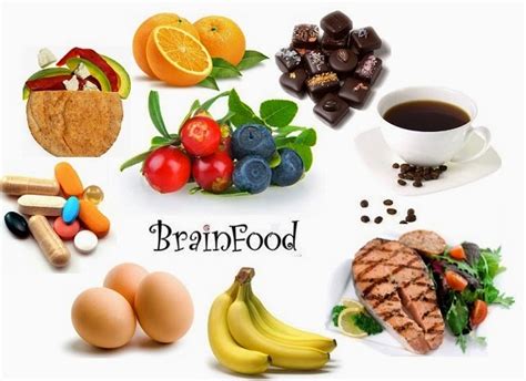 Foods That Increase Memory Power And Concentration ~ Idea And Learning