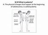 Puberty Human Organs Reproductive Changes Adolescence Beginning Called Happen Physical sketch template