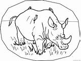 Coloring4free Rhino sketch template