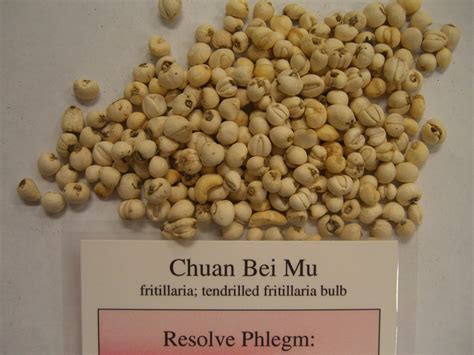 chinese nutrition properties  chuan bei