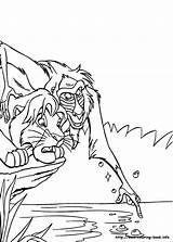 Coloring Pages Broadway Getcolorings Lion King sketch template