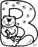 Letter Beaver Coloring Pages Printable Colouring Clipart Dam Biber Beavers Drawing Color Angry Ausmalen Animal Zum Outline Kleurplaten Getdrawings Bever sketch template