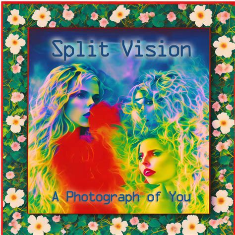 a photograph of you depeche mode cover split vision