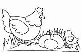 Mewarnai Binatang Ayam Paud Hewan Poule Mewarna Sd Poussin Kumpulan Lumba Ikan Poussins Menggambar Coloriages Utk Kelinci Macam Colorier Hen sketch template